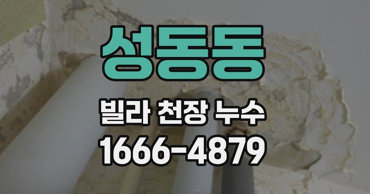 성동동 빌라 천장 누수