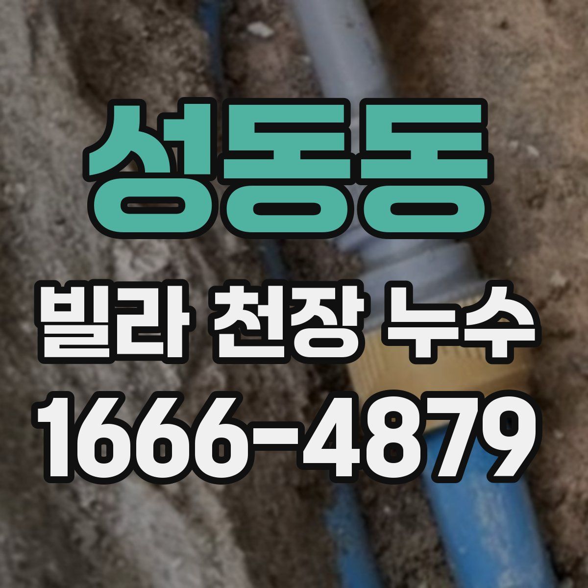 성동동 빌라 천장 누수