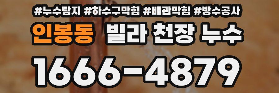 인봉동 빌라 천장 누수