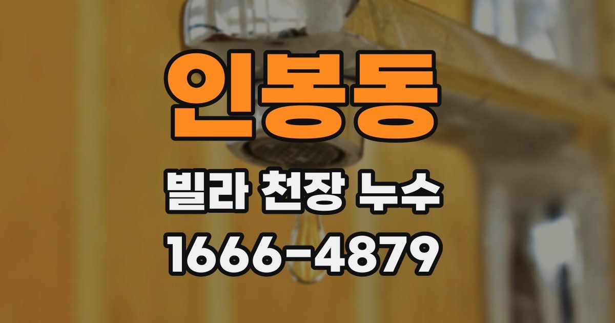 인봉동 빌라 천장 누수
