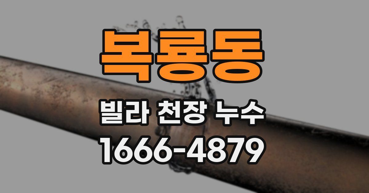 복룡동 빌라 천장 누수