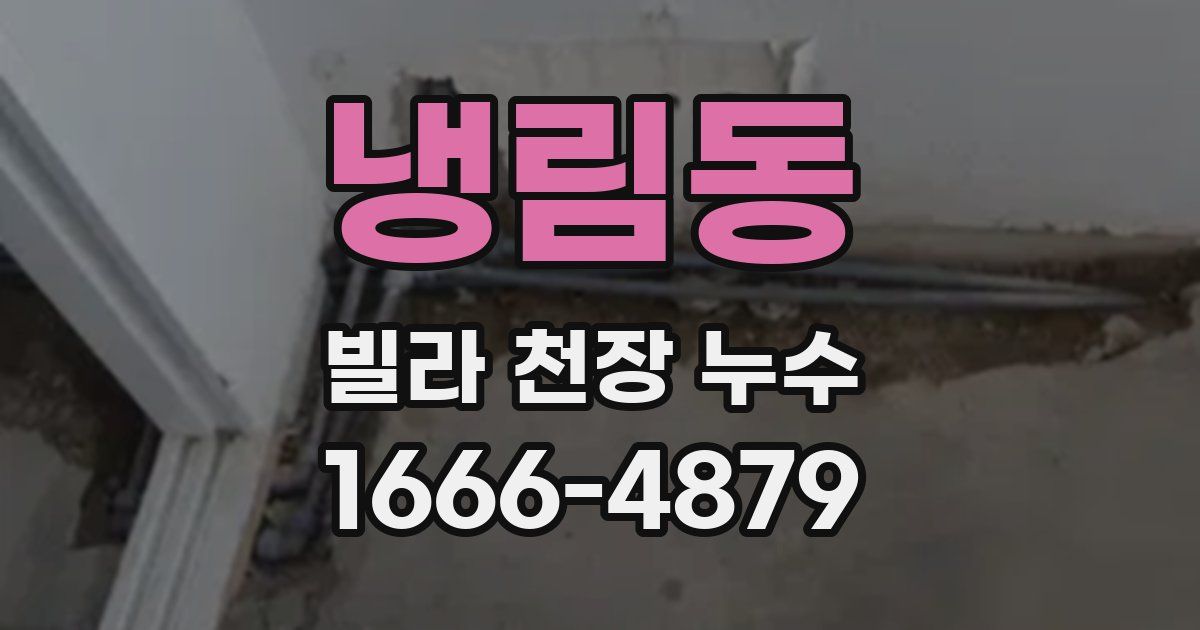 냉림동 빌라 천장 누수