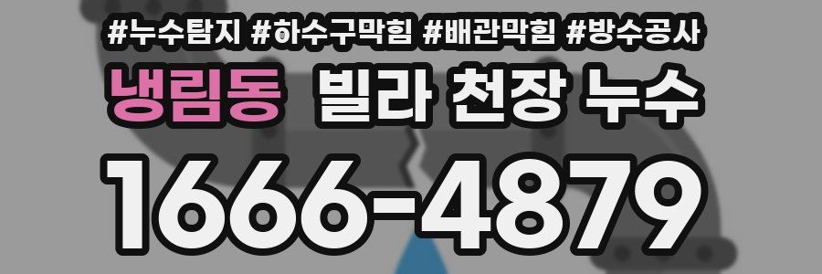 냉림동 빌라 천장 누수
