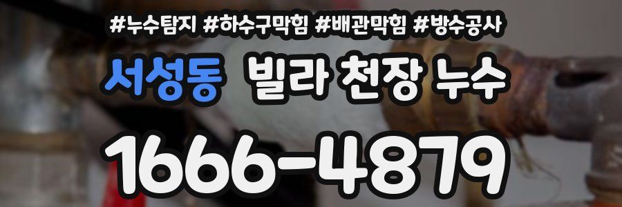 서성동 빌라 천장 누수