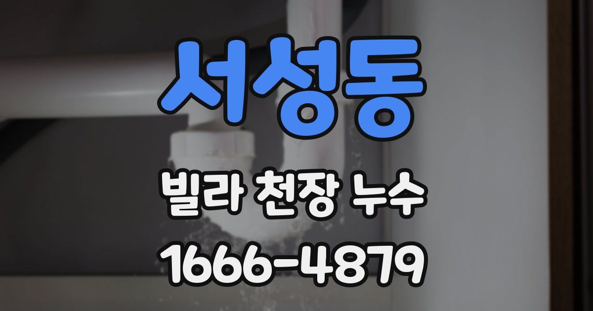 서성동 빌라 천장 누수