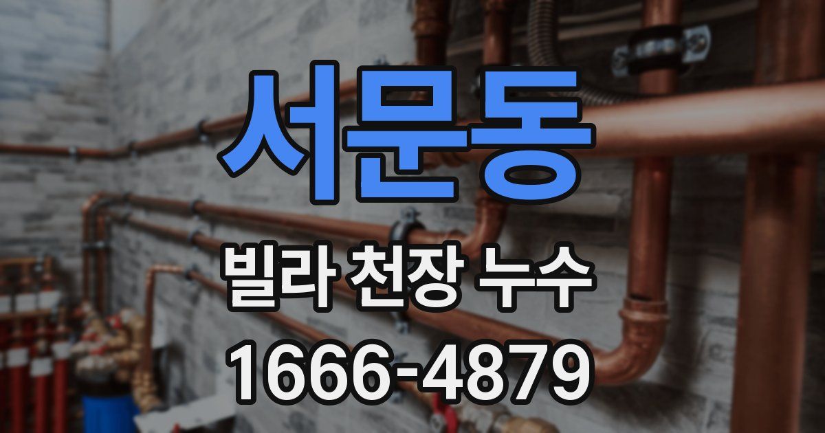 서문동 빌라 천장 누수