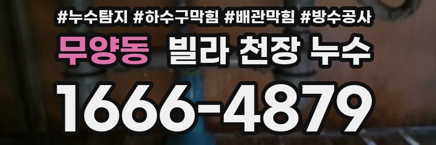 무양동 빌라 천장 누수