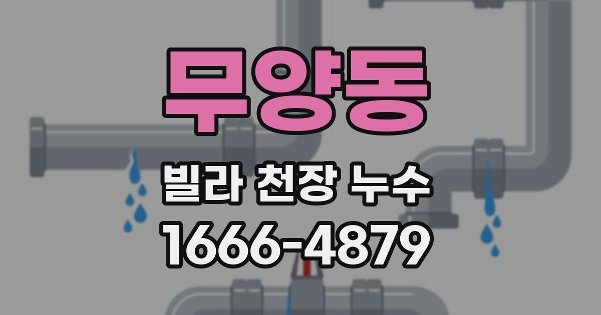 무양동 빌라 천장 누수