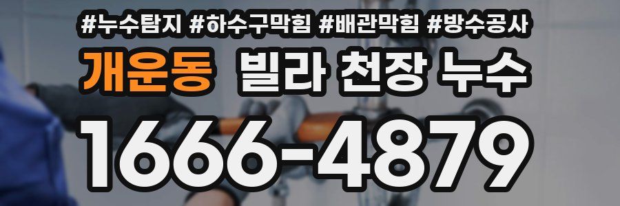 개운동 빌라 천장 누수