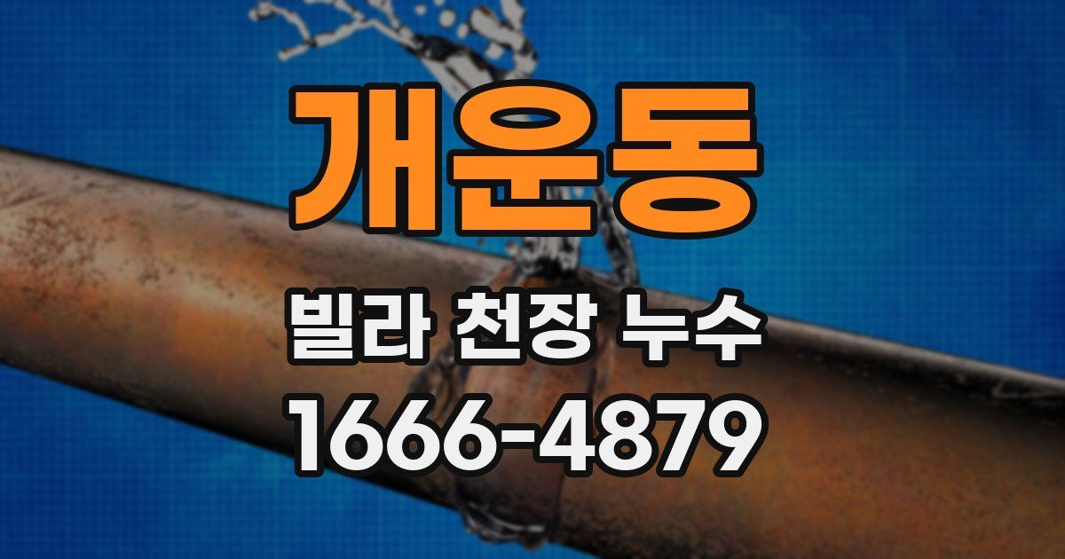 개운동 빌라 천장 누수