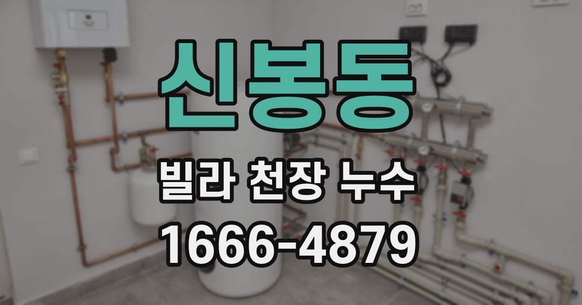 신봉동 빌라 천장 누수