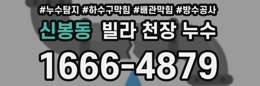 신봉동 빌라 천장 누수