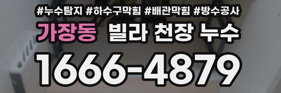 가장동 빌라 천장 누수