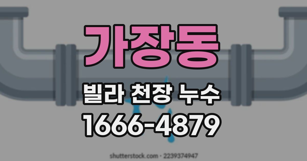 가장동 빌라 천장 누수