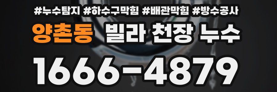 양촌동 빌라 천장 누수