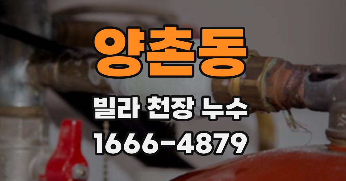 양촌동 빌라 천장 누수