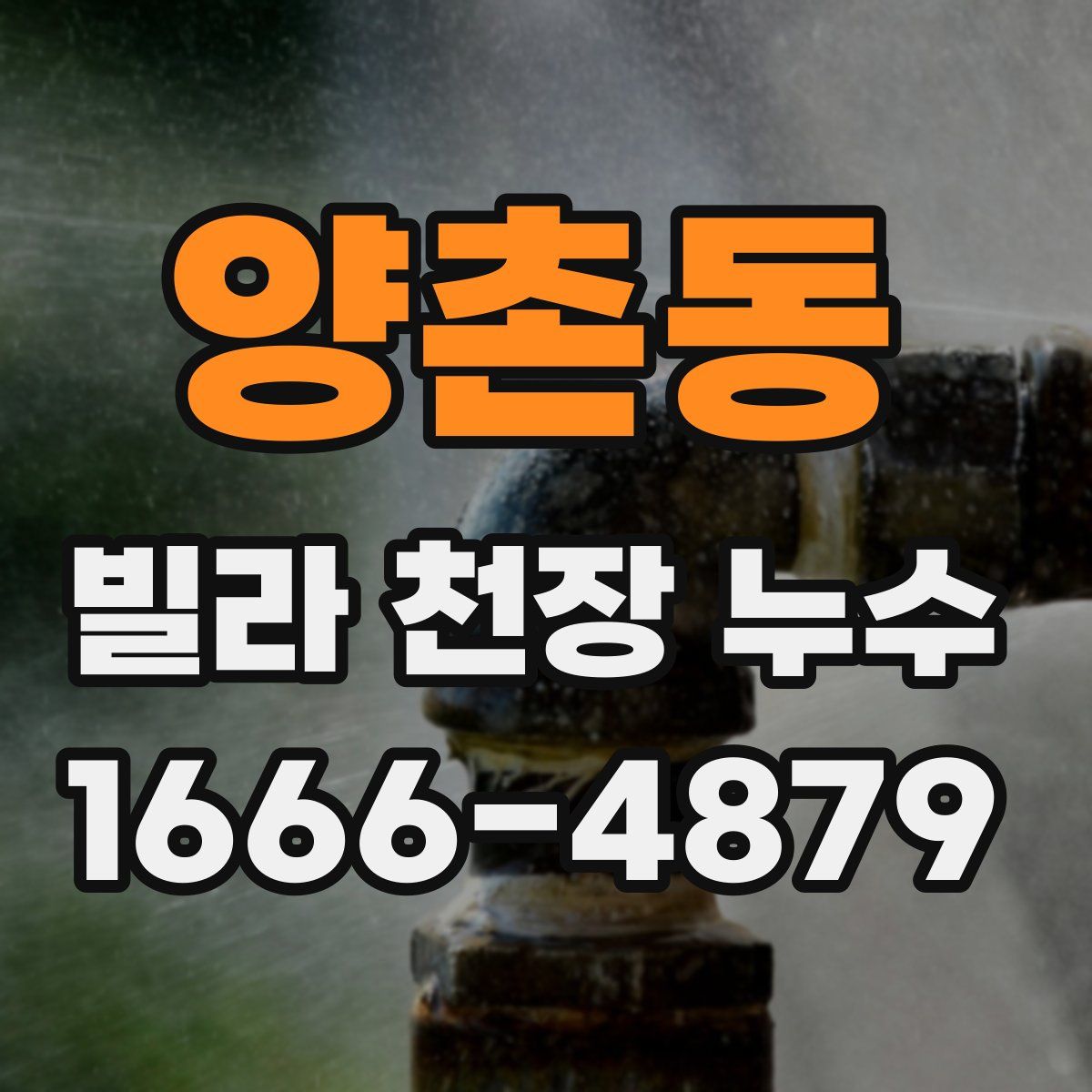 양촌동 빌라 천장 누수