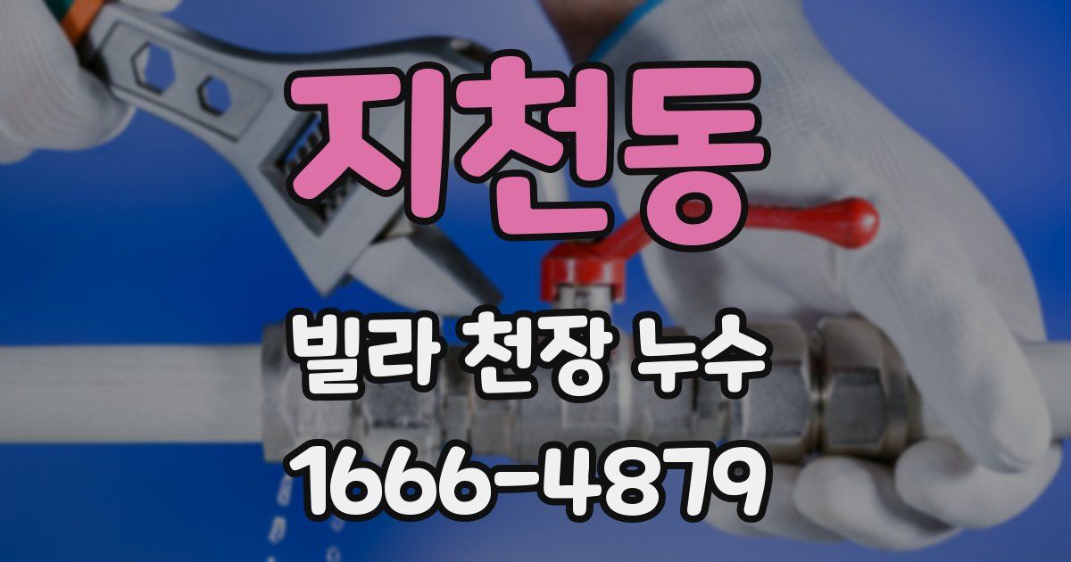 지천동 빌라 천장 누수
