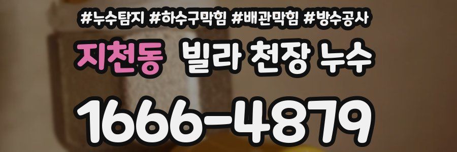 지천동 빌라 천장 누수