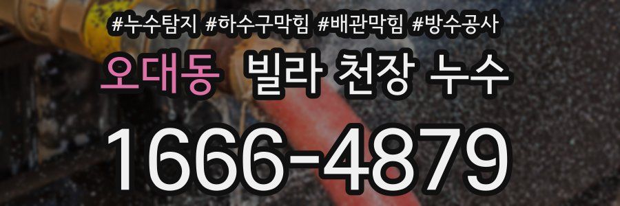 오대동 빌라 천장 누수