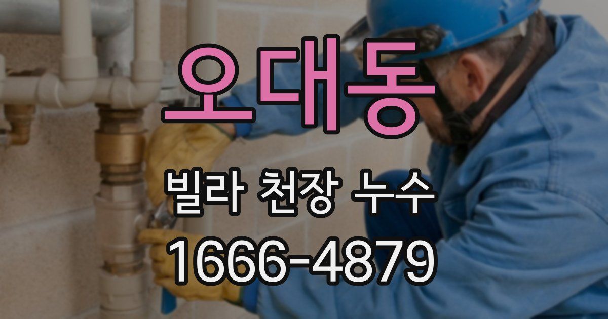 오대동 빌라 천장 누수