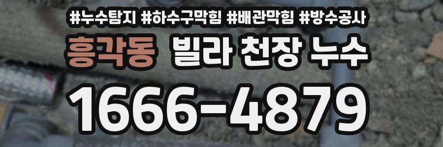 흥각동 빌라 천장 누수