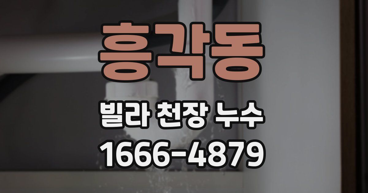 흥각동 빌라 천장 누수