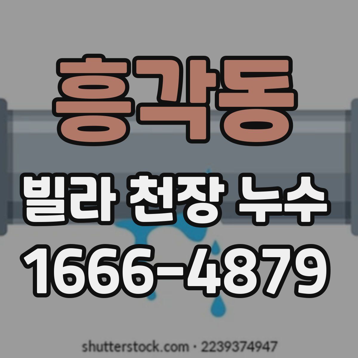 흥각동 빌라 천장 누수