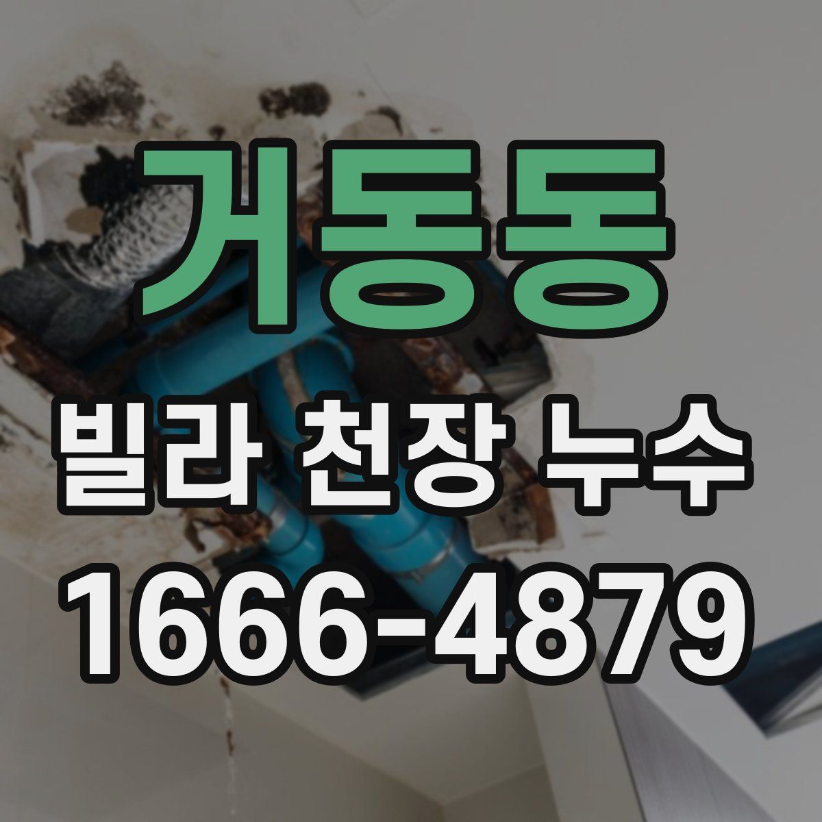 거동동 빌라 천장 누수
