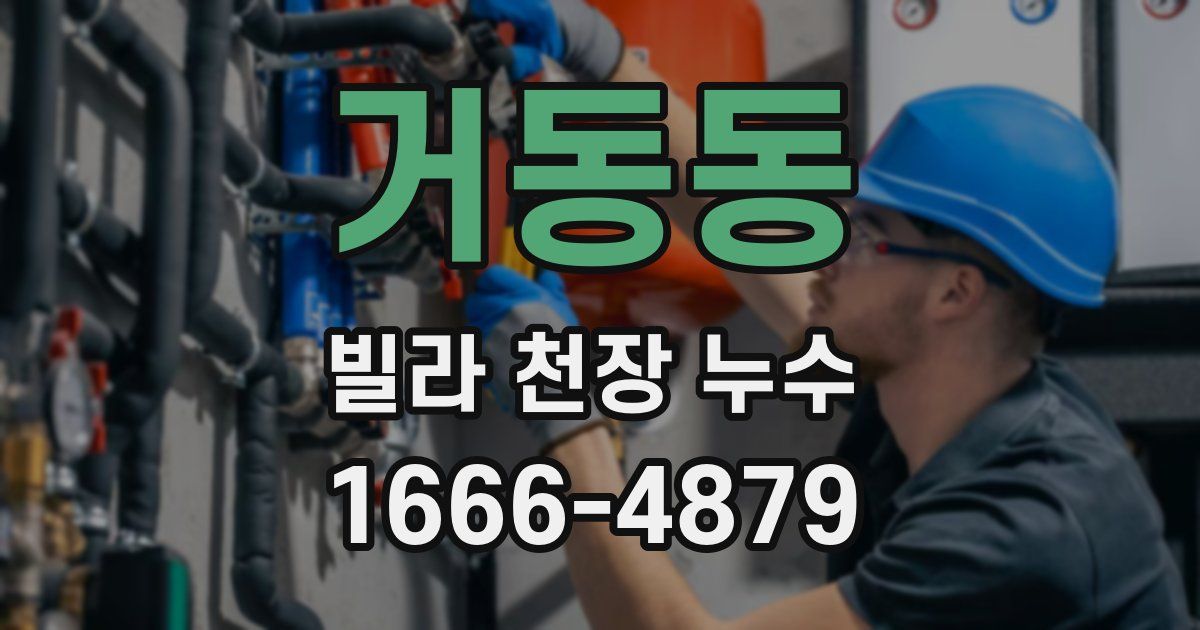 거동동 빌라 천장 누수