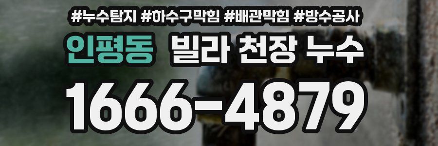 인평동 빌라 천장 누수