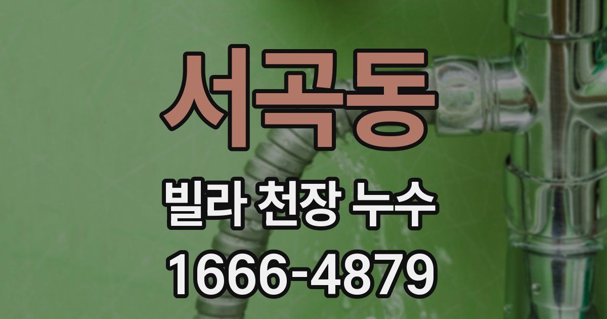 서곡동 빌라 천장 누수