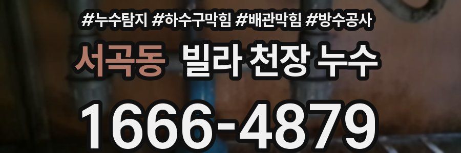 서곡동 빌라 천장 누수