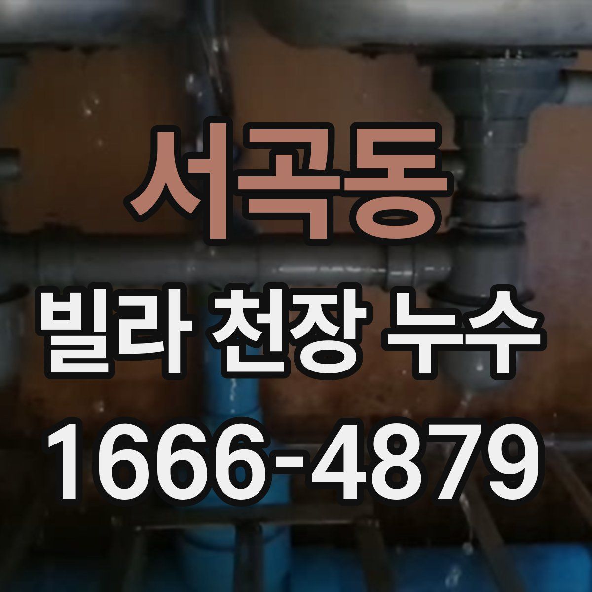 서곡동 빌라 천장 누수