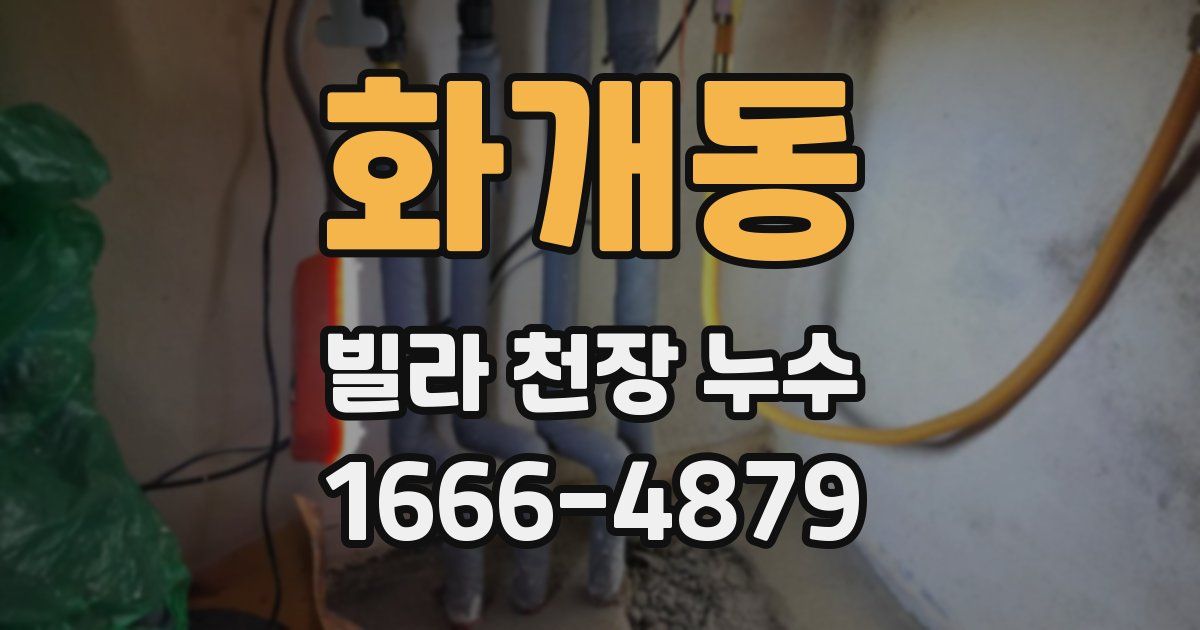 화개동 빌라 천장 누수