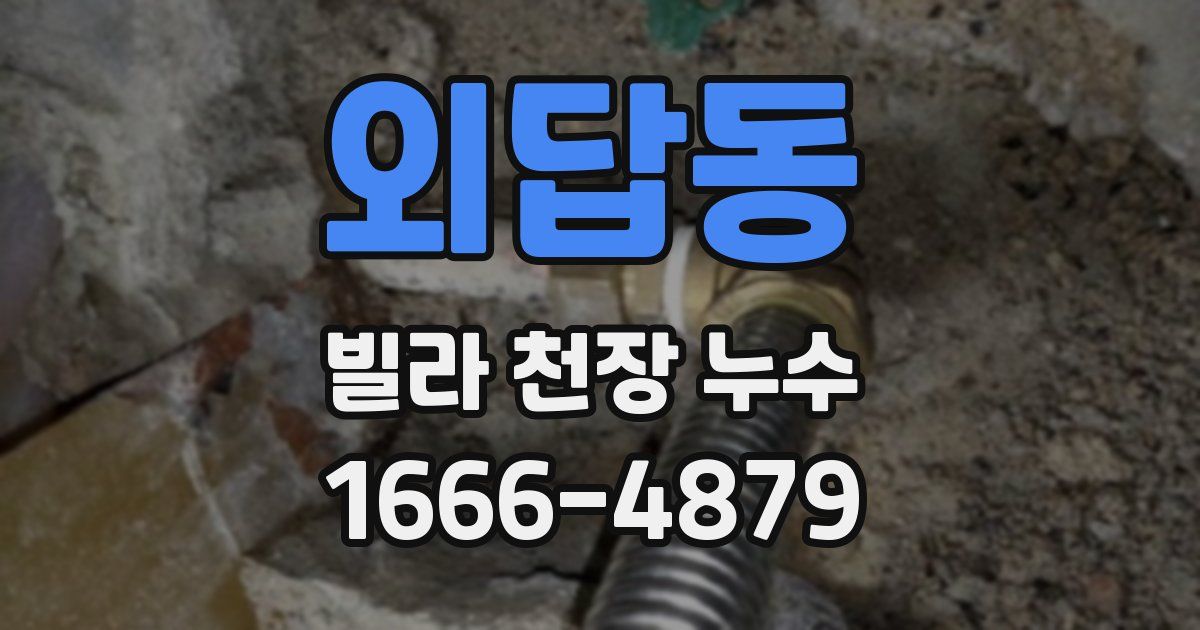 외답동 빌라 천장 누수