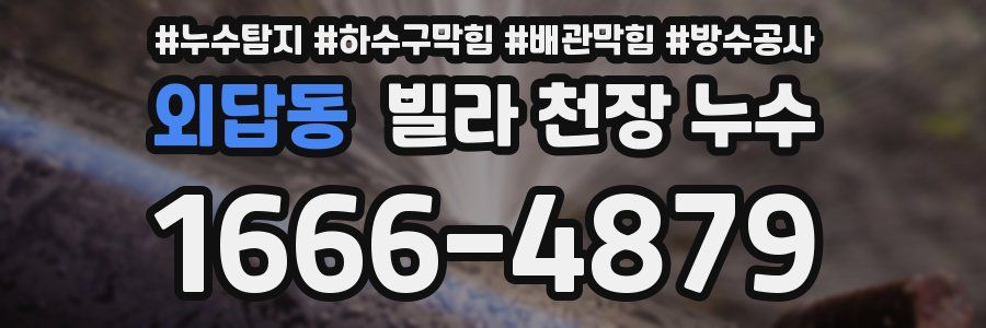 외답동 빌라 천장 누수