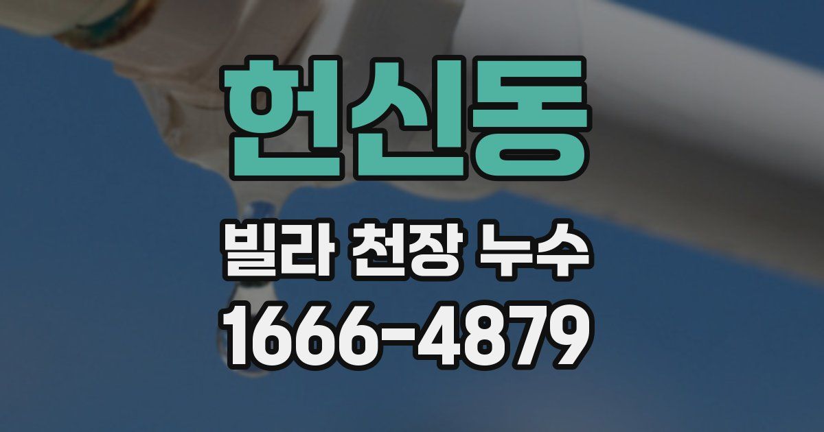 헌신동 빌라 천장 누수