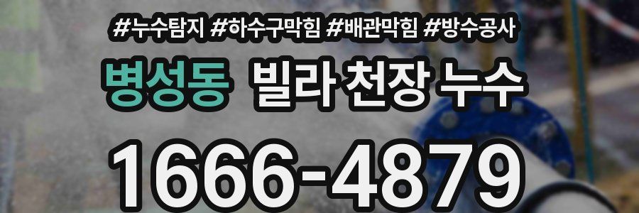 병성동 빌라 천장 누수