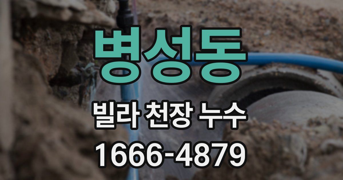 병성동 빌라 천장 누수