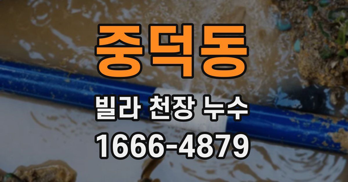 중덕동 빌라 천장 누수