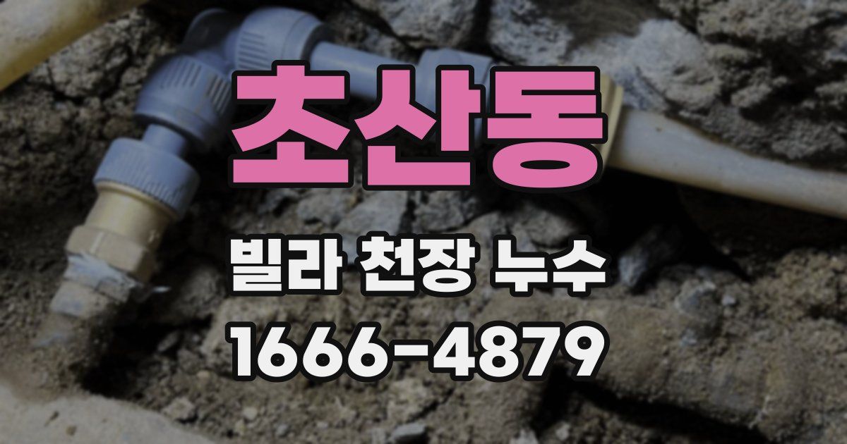 초산동 빌라 천장 누수