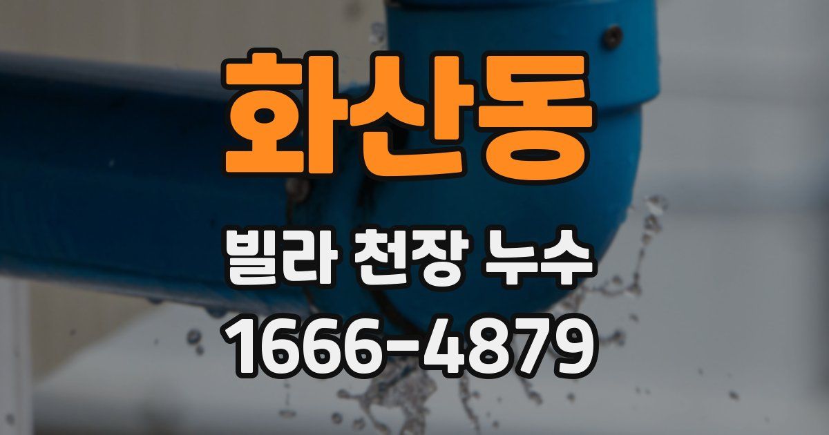 화산동 빌라 천장 누수