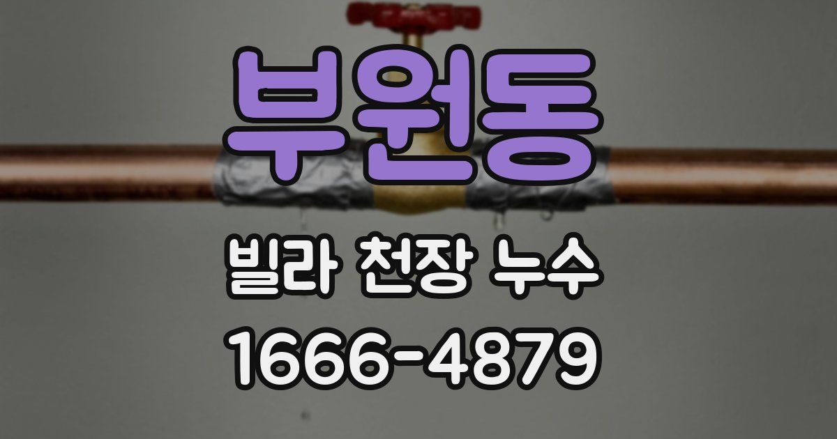 부원동 빌라 천장 누수