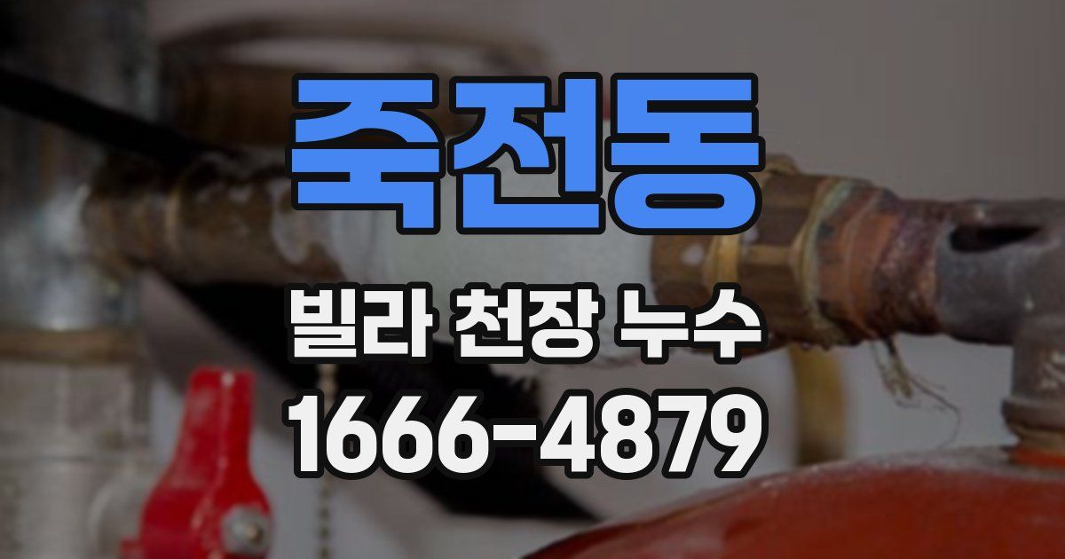 죽전동 빌라 천장 누수