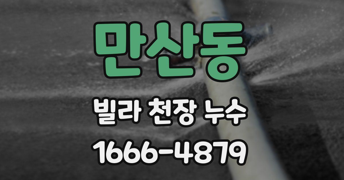 만산동 빌라 천장 누수