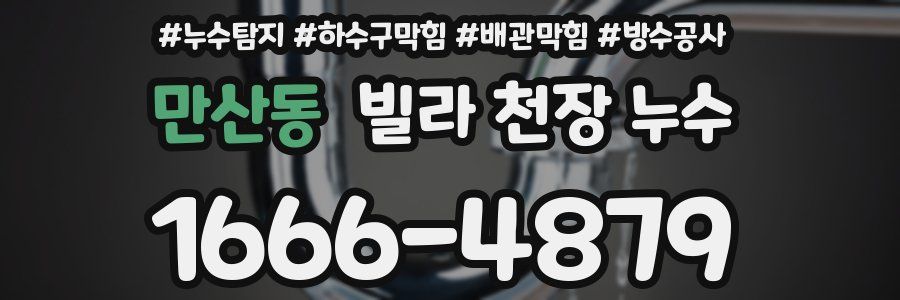 만산동 빌라 천장 누수