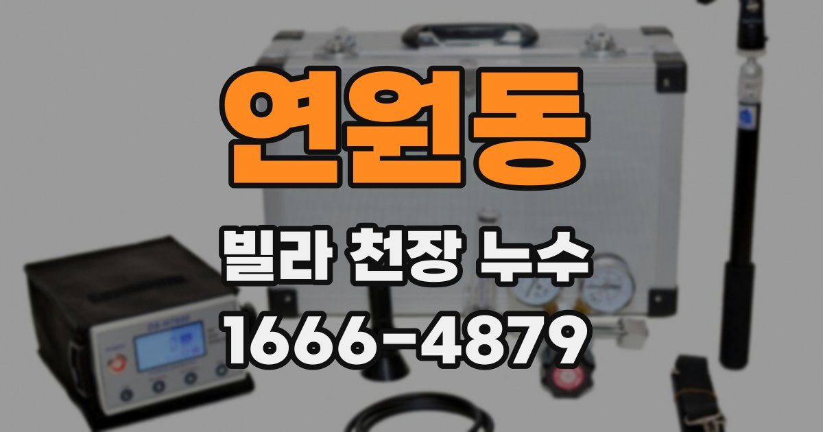 연원동 빌라 천장 누수