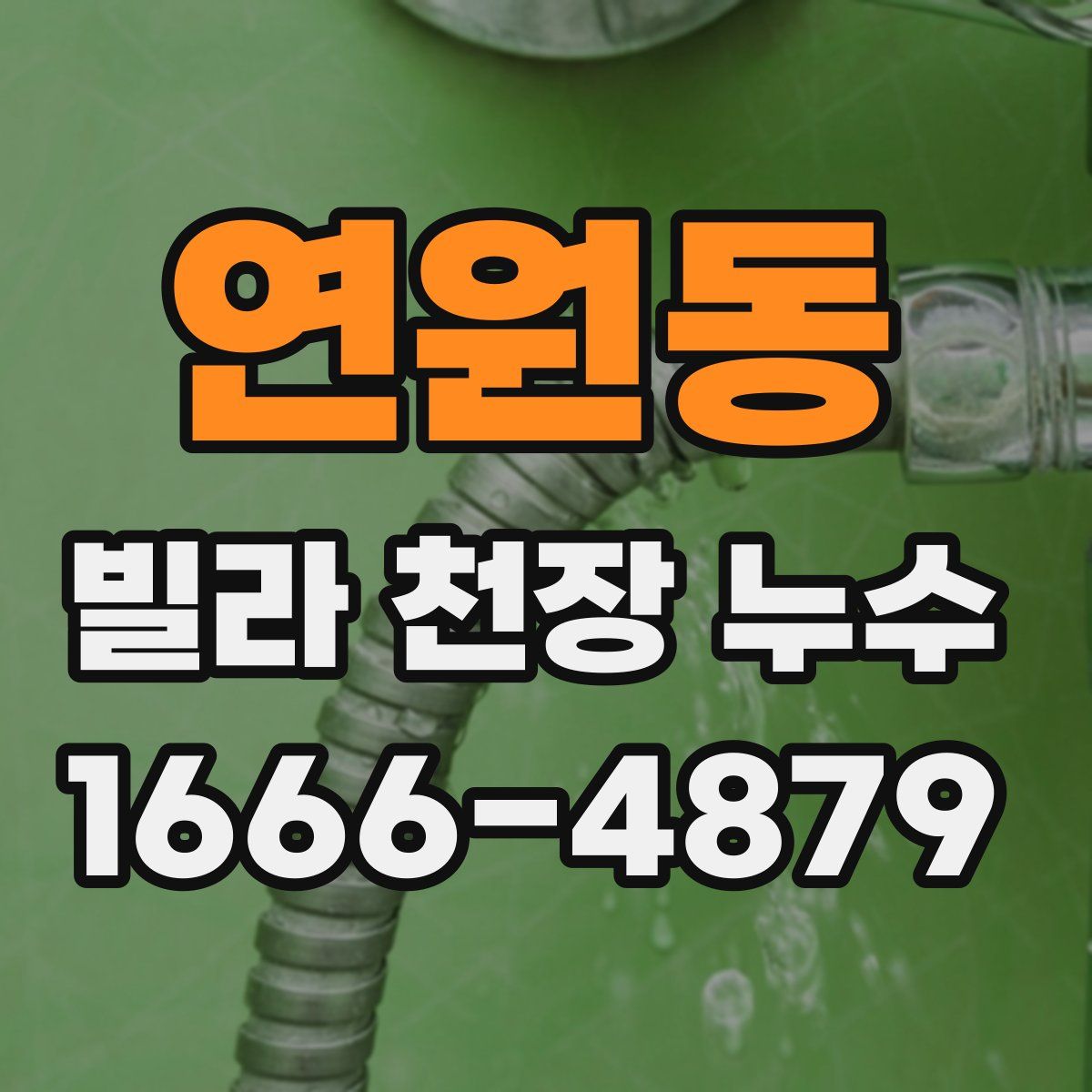 연원동 빌라 천장 누수
