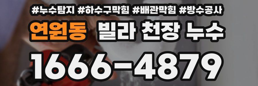 연원동 빌라 천장 누수